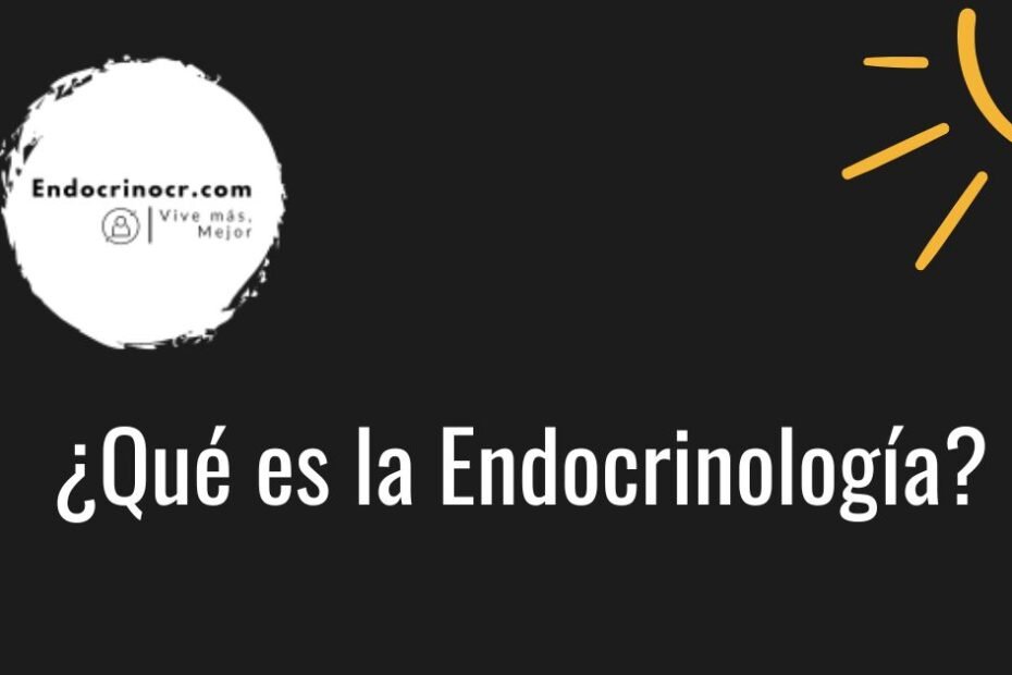 Definición De Endocrinologia